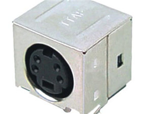 DSW-13