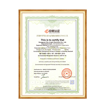 Environmental Management System Certificate